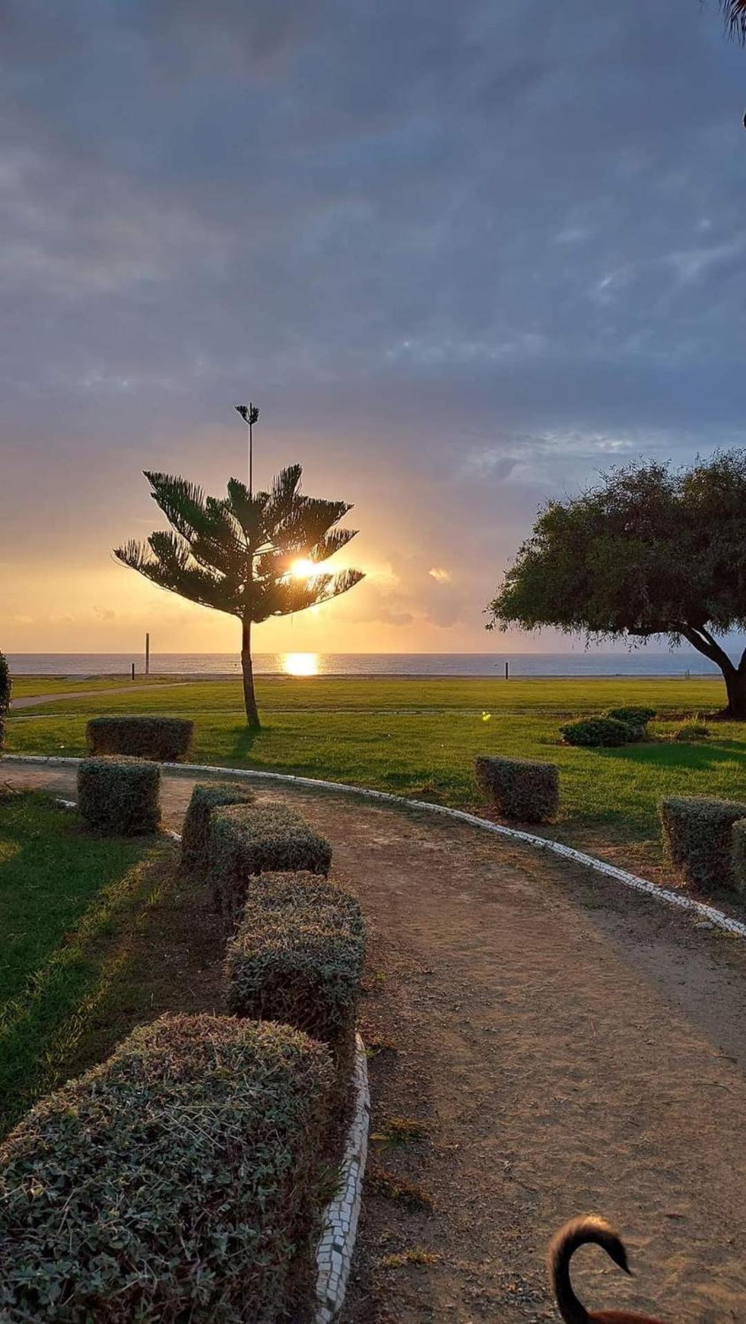 Apartamento Magic World Nueva Marina D'Or 2 Dormitorios Edificio Torremar Oropesa del Mar Esterno foto